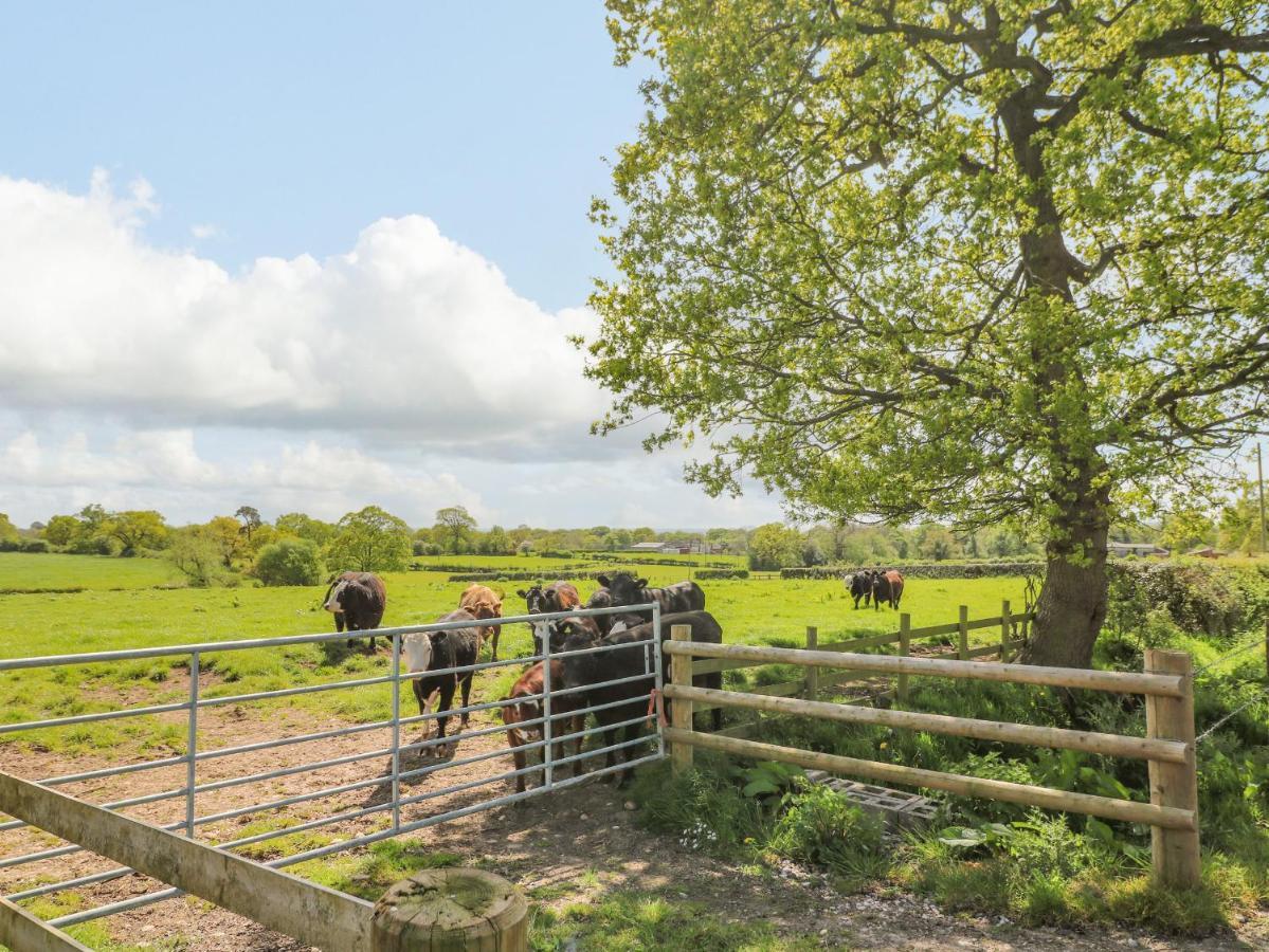 Acorn Lodge Stafford Bagian luar foto