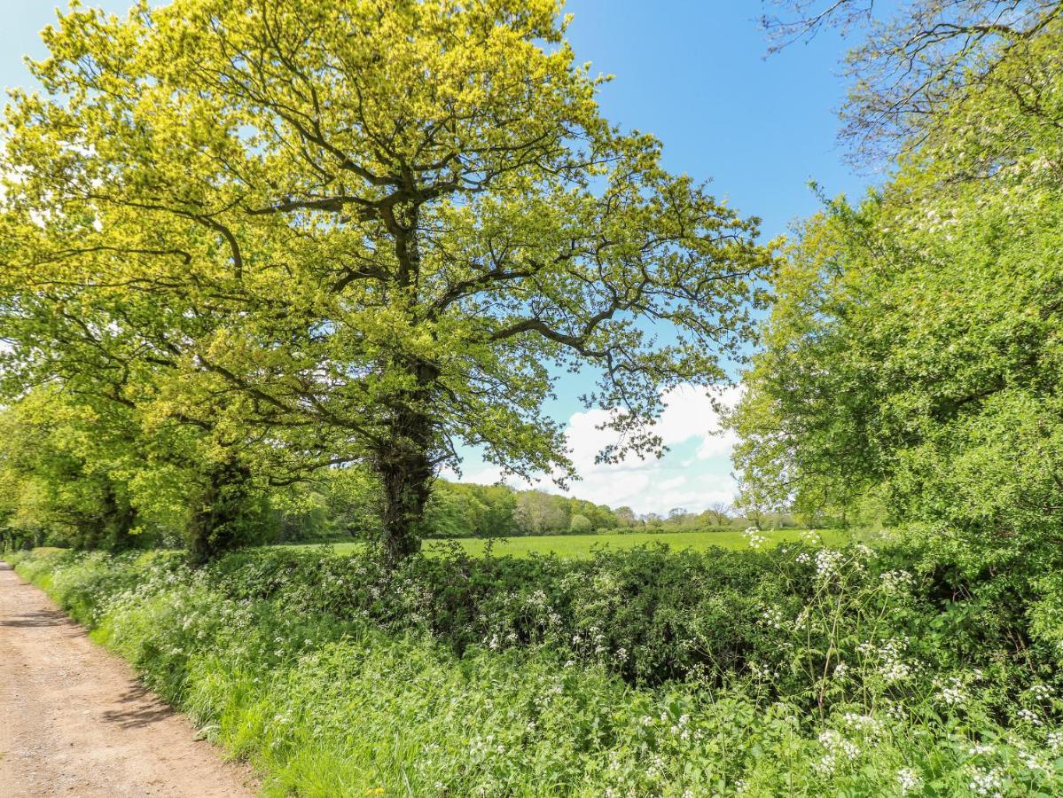 Acorn Lodge Stafford Bagian luar foto